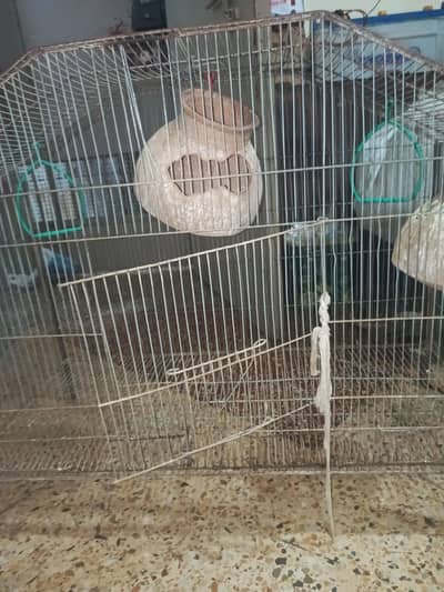 cage  for birds