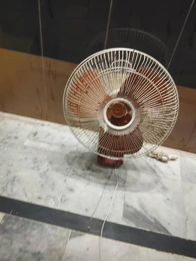 Fans in working cindition