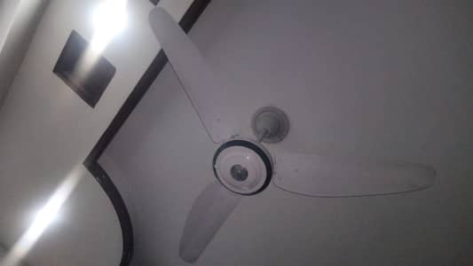 Ceiling Fans For Sale