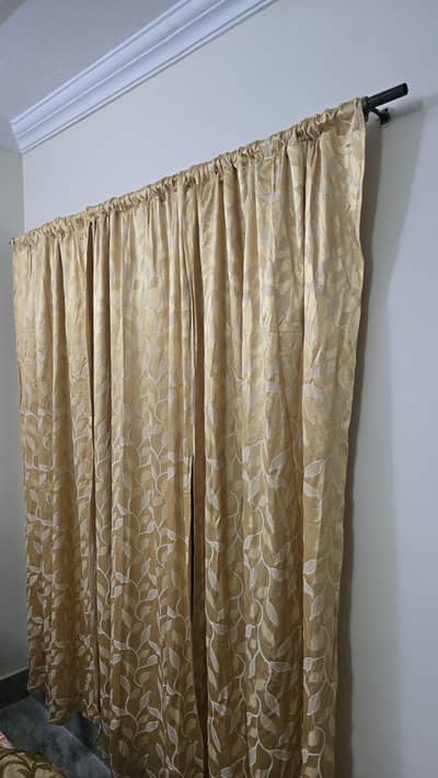 Golden curtains