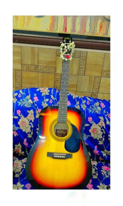 Professional Acoustic Guitar (jumbo)