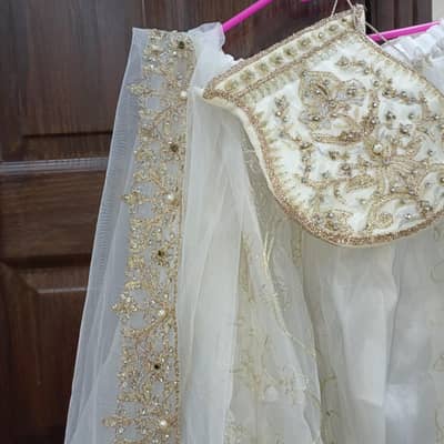 Net dress Embellished with stones  studded and crystals sewn onto it