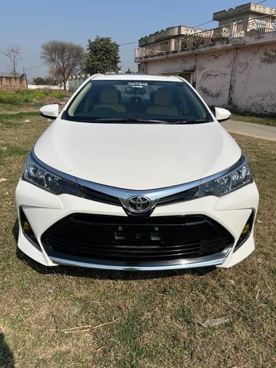 Gli Super white 2018-19