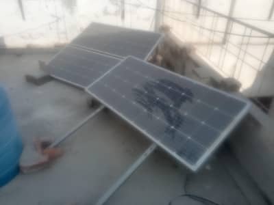 3 plate sale 185 watt