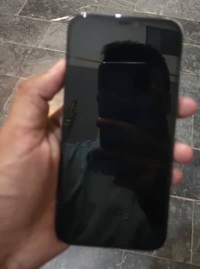 Apple iPhone 12 Pro Max