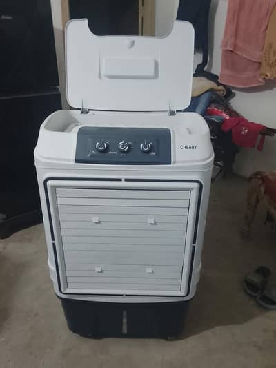 1 month use fresh piece 10 by 10 condition