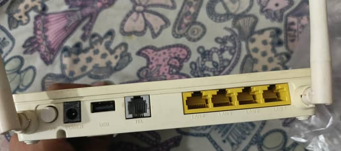 Hawaii G-Pon  router