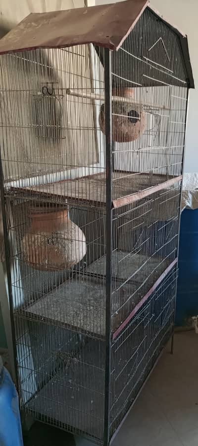cage for birds