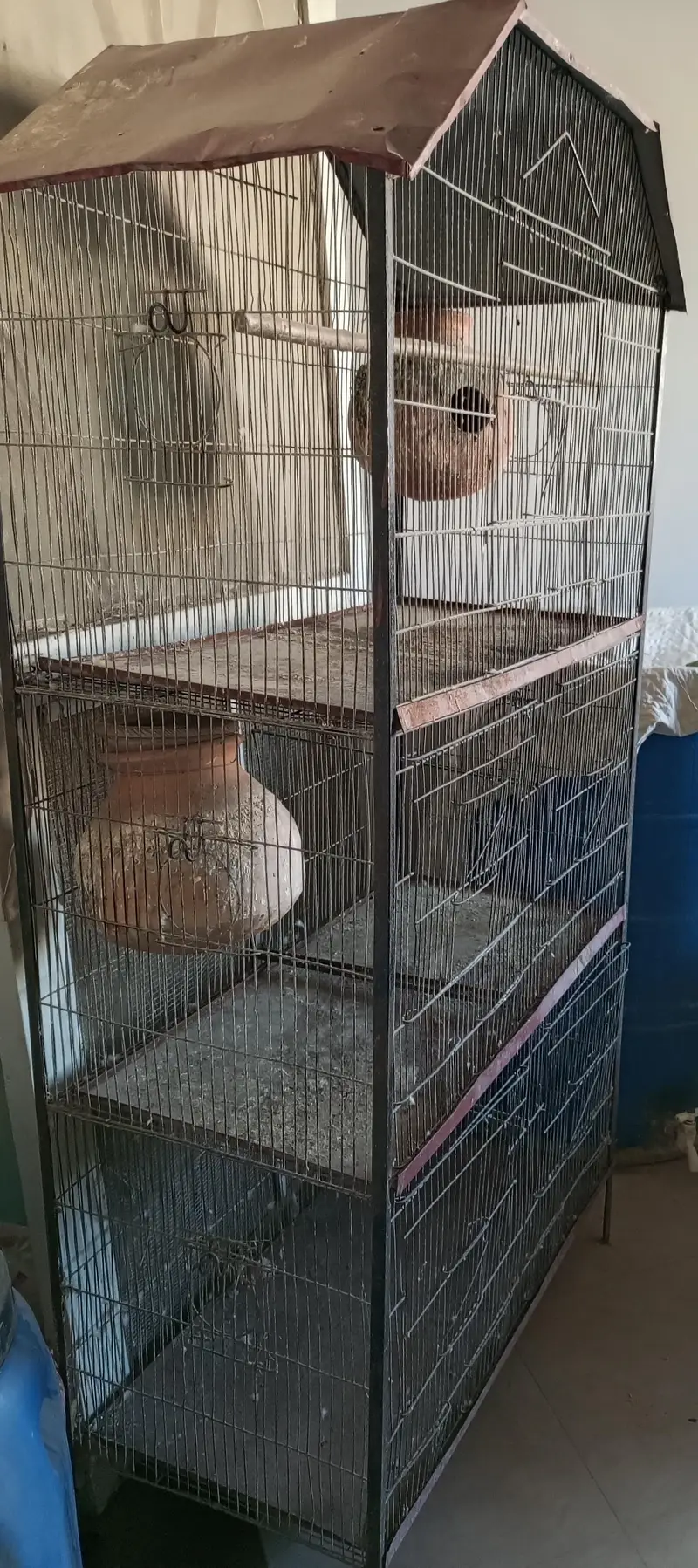 cage for birds