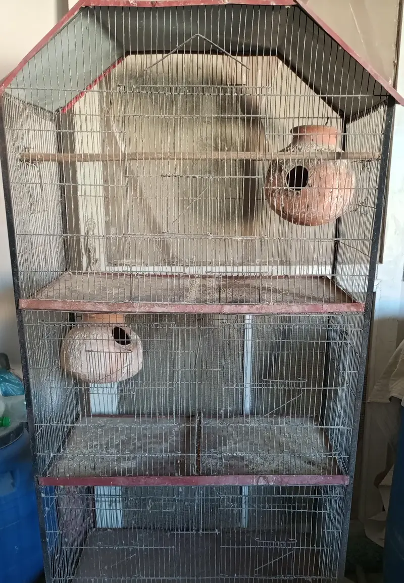 cage for birds — photo 2