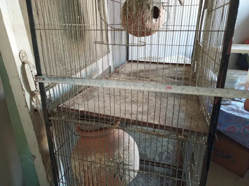 cage for birds — photo 4