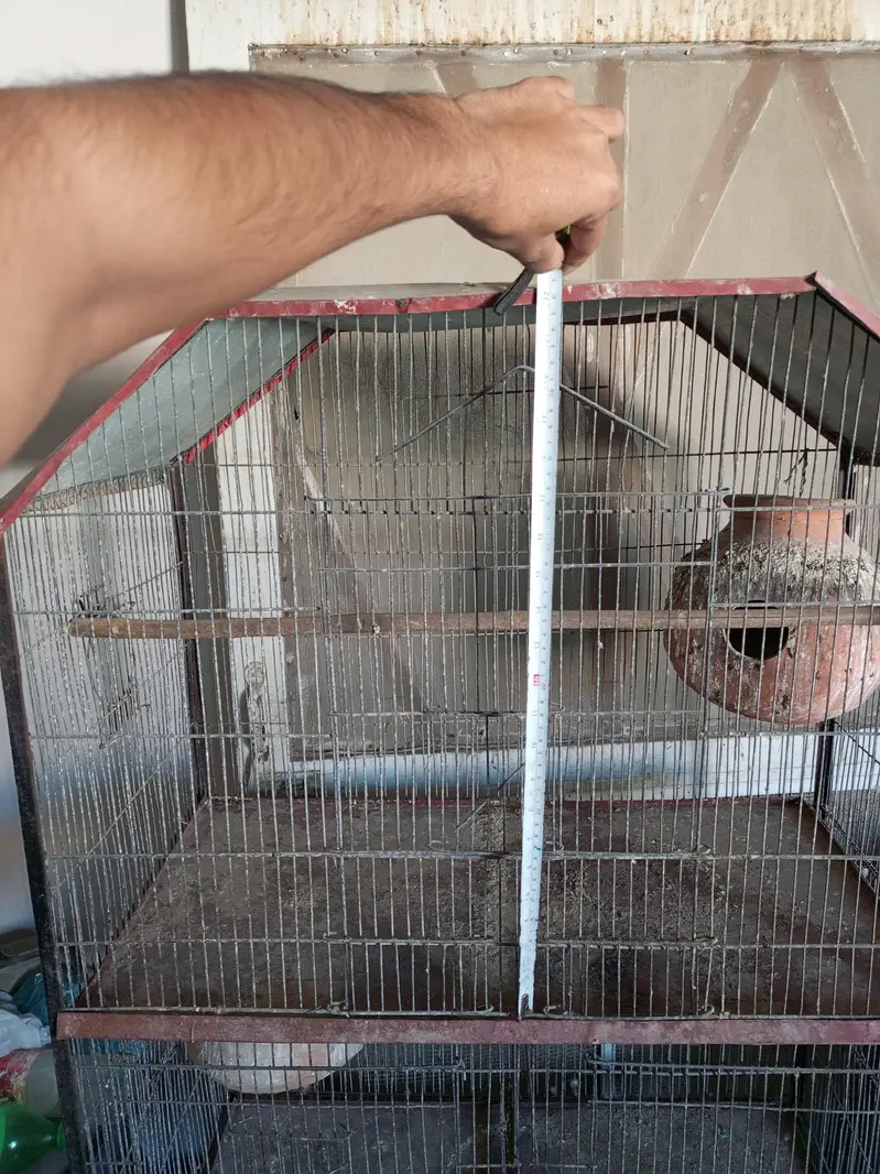 cage for birds — photo 5