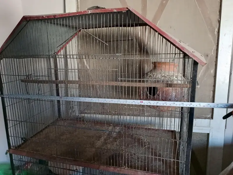 cage for birds — photo 6