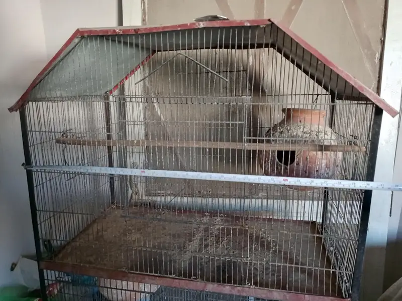 cage for birds — photo 7