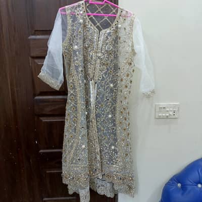 Net dress Embellished with stones  studded and crystals sewn onto it