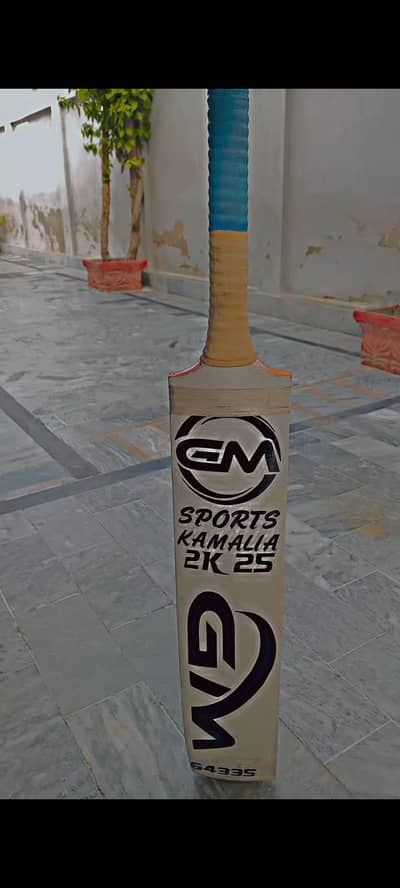 Use Cricket Bat