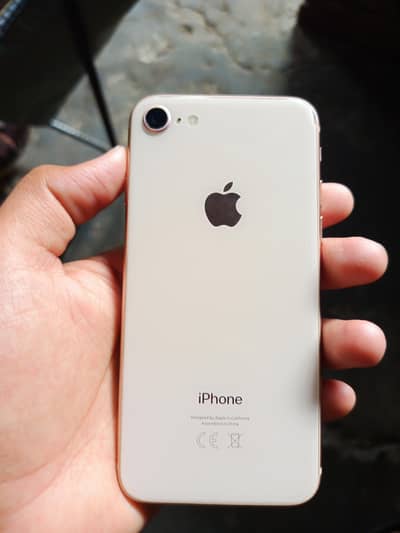 iphone 8 non PTA 10 by 10 urgent sale