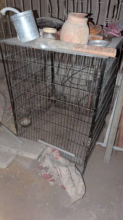 cages for exotic parrot, hens, and other bird