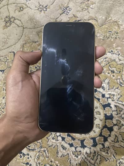 12 Pro 256 GB Dual Sim Pta Approved