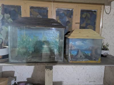 aquarium small and large