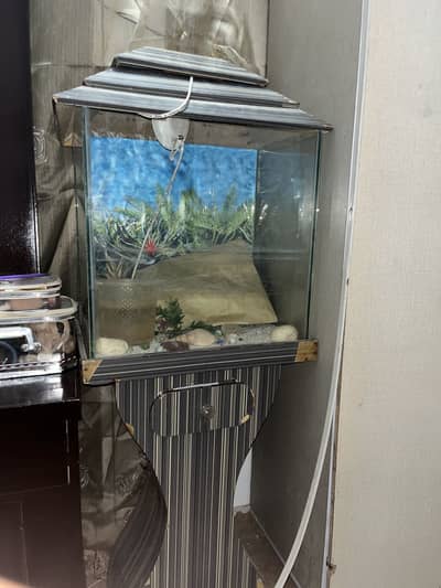 Fish  aquarium used condition