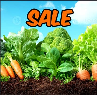 Dream Agricultural land Opportunity 2 Kanals