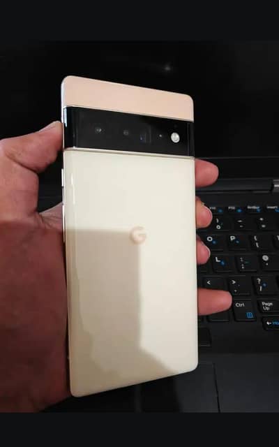 official pta approved