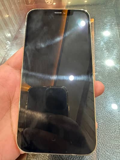 iphone 12 pro PTA approved