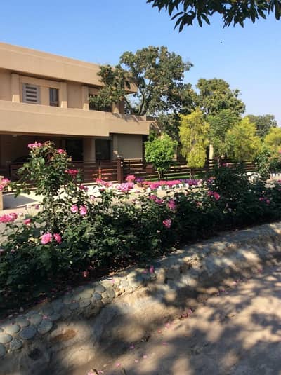 A Beautiful 3 Kanal House In An Oasis A Place Like No Other, Nestled In Fruit Orchards And Yet So Close To The Heart Of The City