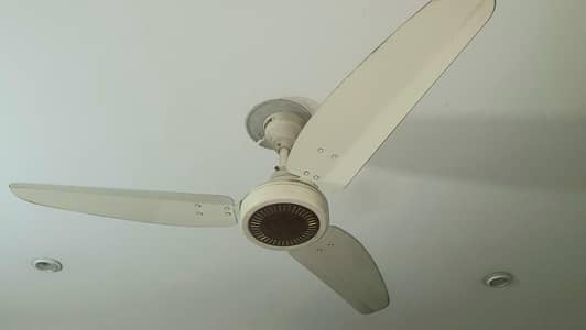 Royal fan original condition original copper winding