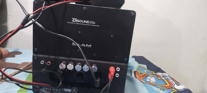 ziisound DSx Singapore with Philips speakers