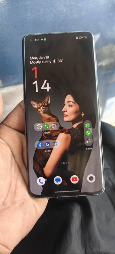 one plus 11.  . 256/16+12    global version