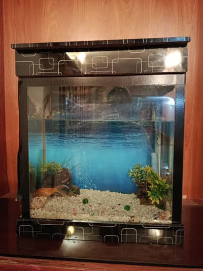 Aquarium with all accessories just like new condition for sale