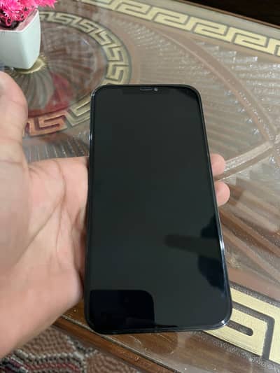 Apple iPhone 12 Pro Max