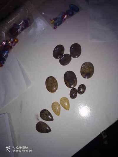 fosil coral Marjan perfect cut