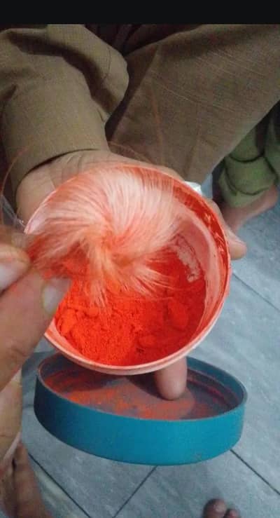 gedar sighii 8 months age