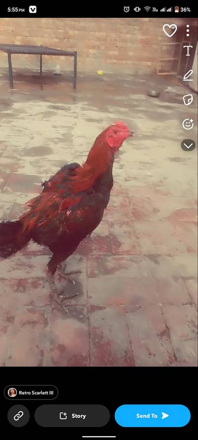 exchange with mobile