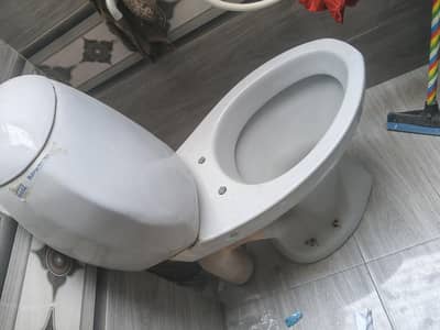 grey comoud niklla huwa ha .