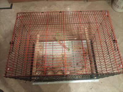huge cage for parrots and hens