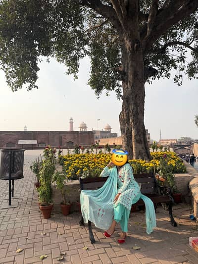 Hand embroidery dress