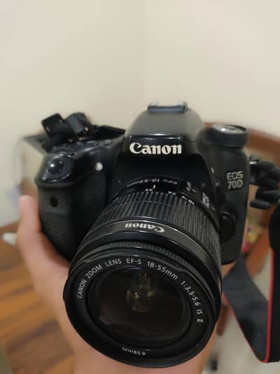 Canon 70D with All Accessories