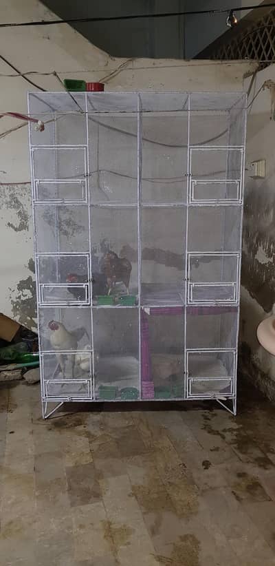 cage 6 box 2×2