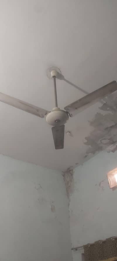 Ceiling Fan