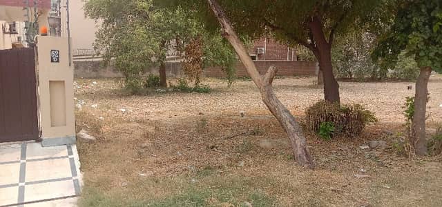 Beautiful Location Plot For Sale