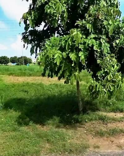 Outstanding Location 150 Feet Road