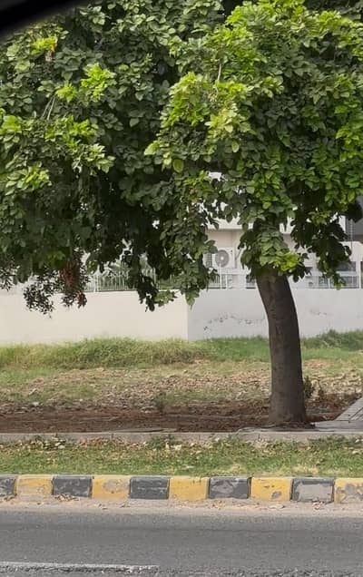 Ideal Location Plot Is Available For Sale