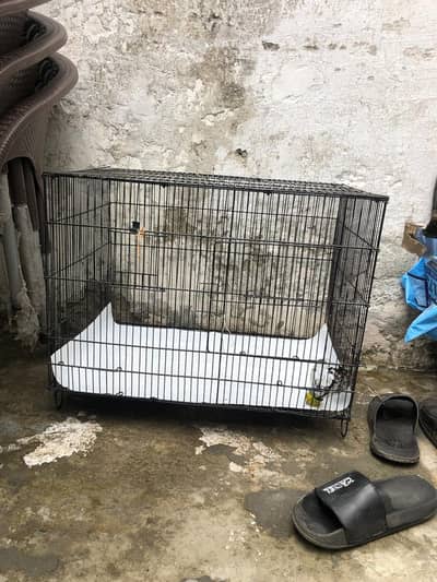 HEN CAGE BHOOTH acha new condition
