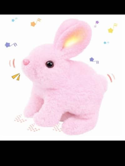 Smoked Rock RC Car| Drifting Car | Magnet Blocks | walking rabbit