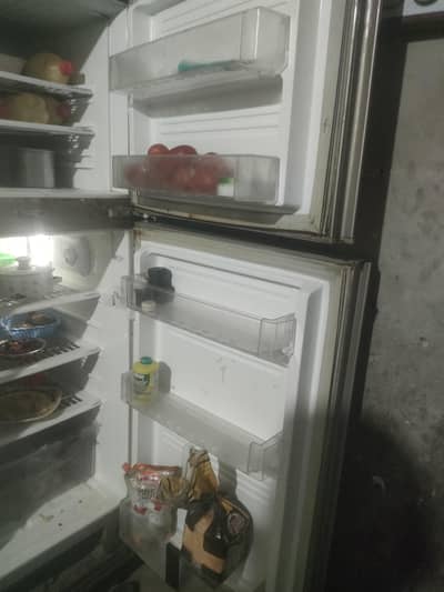 Pel Fridge