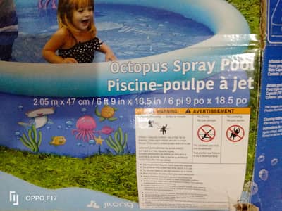 Large Kid Swimming Pool with Octopus waterfall. Imported from Canada